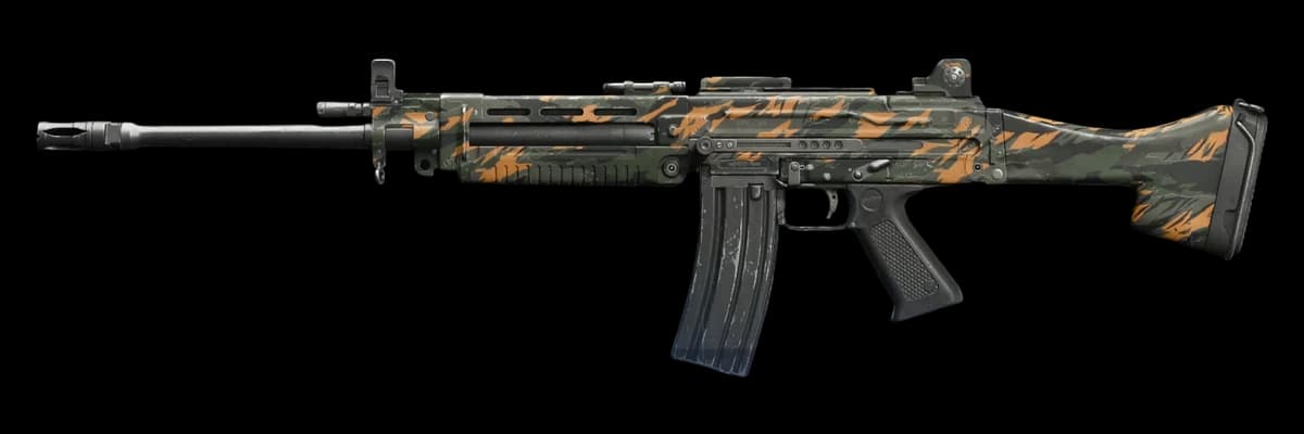 Feng 82 — мета збірка Warzone